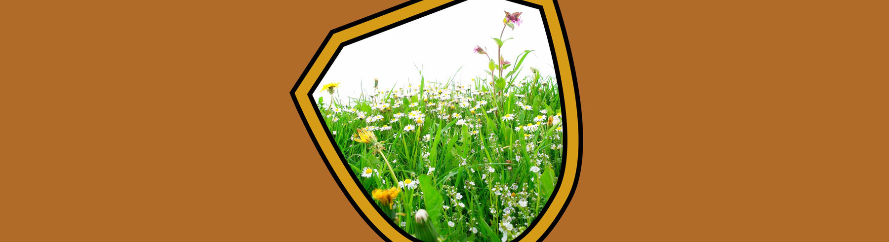 Kill popular weeds in Australia with weed mat